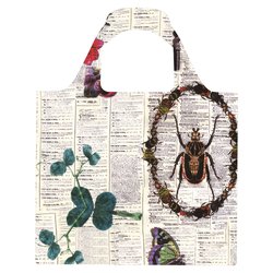 Beetle