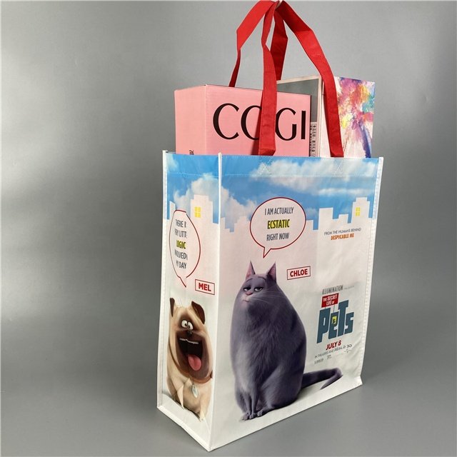 New High Quality Laminating Non Woven Bag Reusable Non Woven Supermarket Shopping Grocery Bag Picnic Food Bag