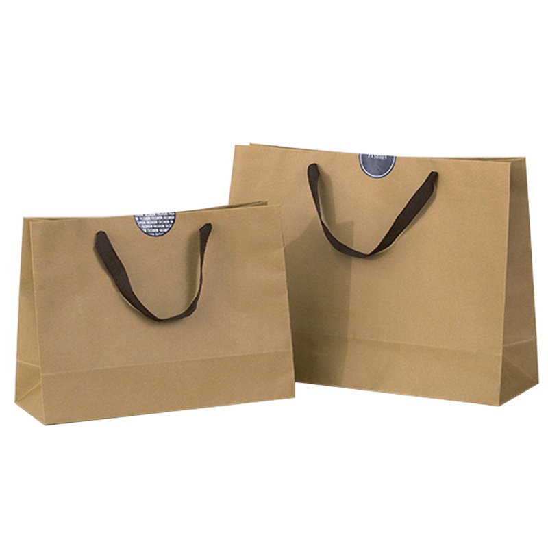 Factory cheap Custom Printed Luxury Retail Paper Shopping Bag, Low Cost Paper Bag, Color Paper Bag Supplier
