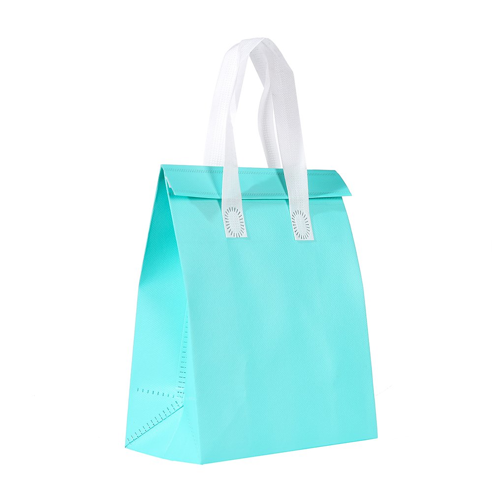 Custom Logo Reusable PP Non-Woven Thermal Insulation portable food delivery Lunch Bag or catering takeaway cooler bag