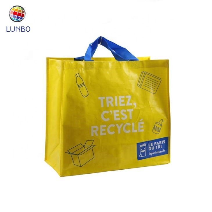 environment friendly shopper bag,custom printed pp woven shopping bag