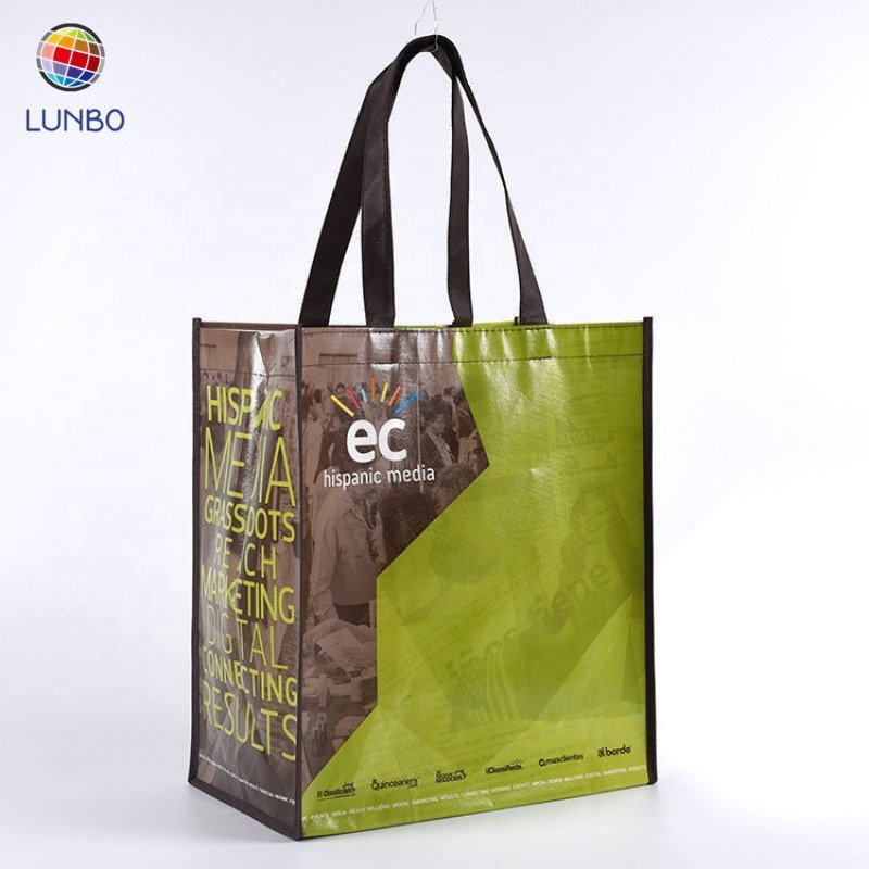 environment friendly shopper bag,custom printed pp woven shopping bag