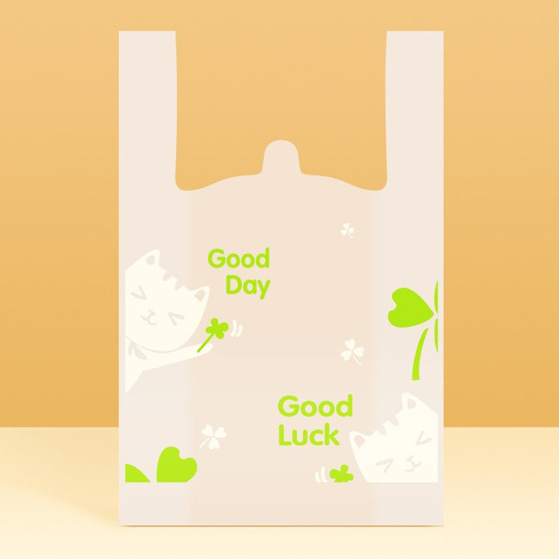 Personalized Brand Name Shopping Bag Custom Logo Printed Boutique Clothing Packing pe bags plastic