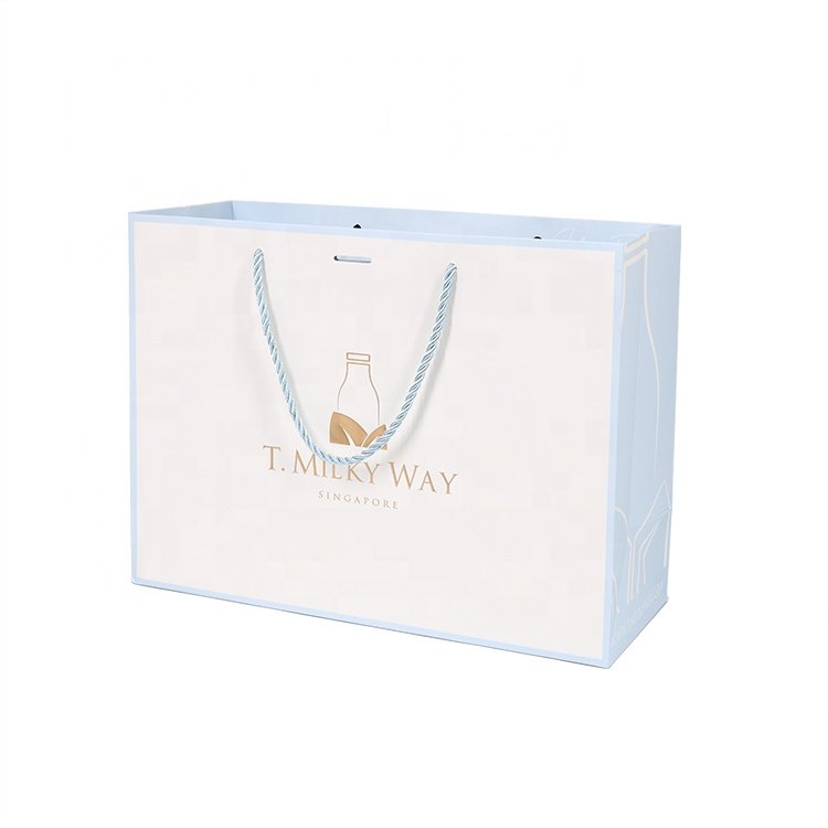 Custom Logo Black Matte Laminated Apparel Packaging Gift Paper Shopping Bag for Clothing