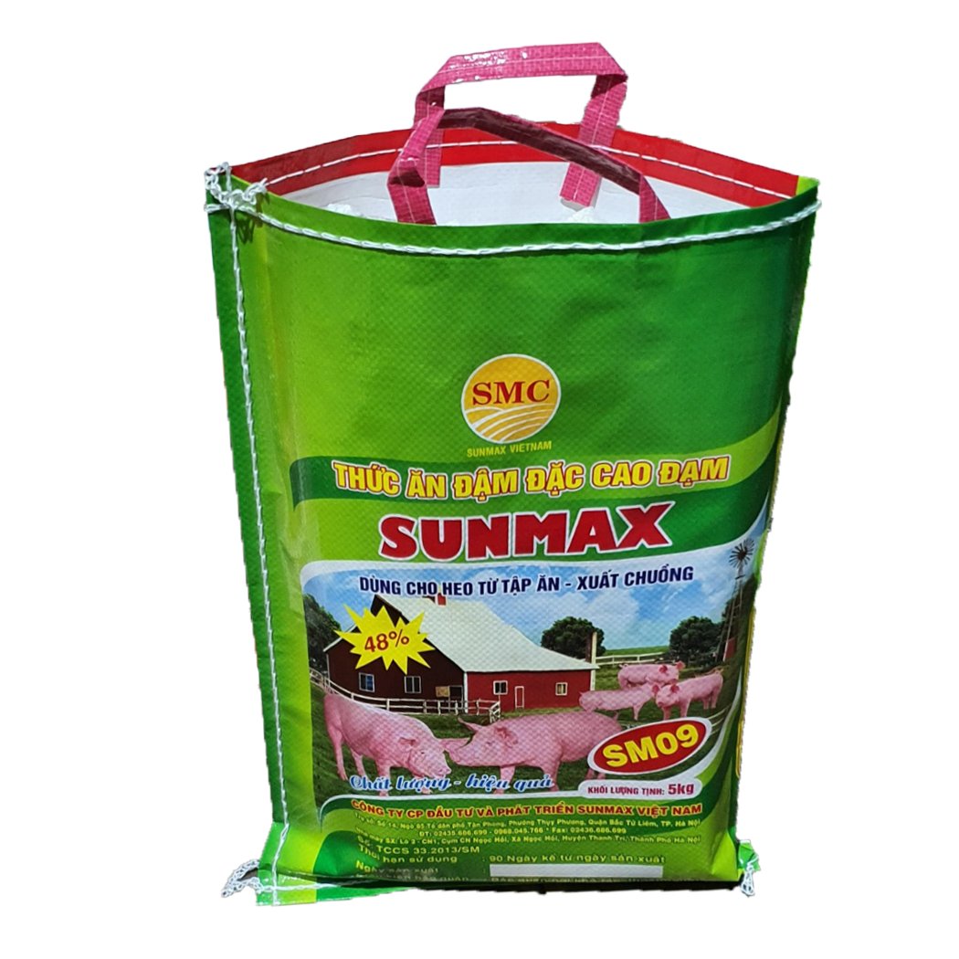 25kg 50kg Polypropylene (PP) Woven Sack Raffia Bag for Sand Coal Cement Packing Exported to Africa Chile Peru