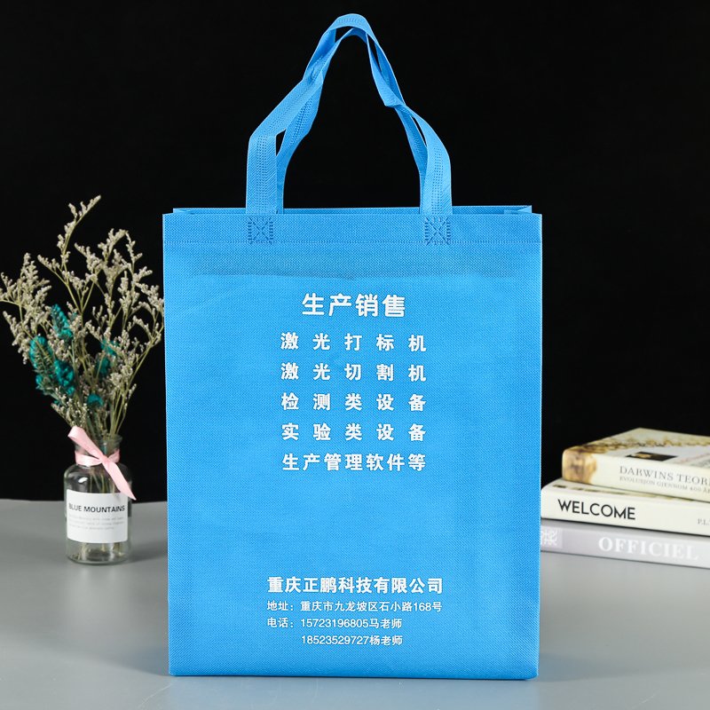 Cheap Recyclable Shopping PP Non Woven Fabric Carry Shopping Bags With Logo Custom