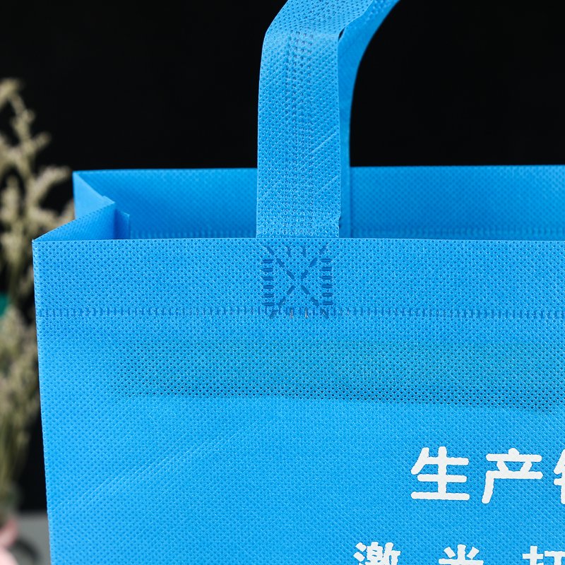Cheap Recyclable Shopping PP Non Woven Fabric Carry Shopping Bags With Logo Custom