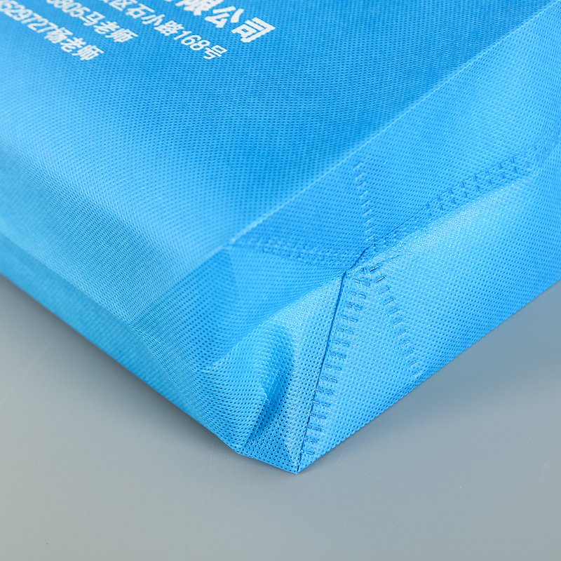 Cheap Recyclable Shopping PP Non Woven Fabric Carry Shopping Bags With Logo Custom