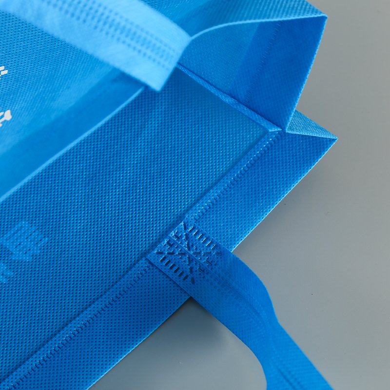 Cheap Recyclable Shopping PP Non Woven Fabric Carry Shopping Bags With Logo Custom