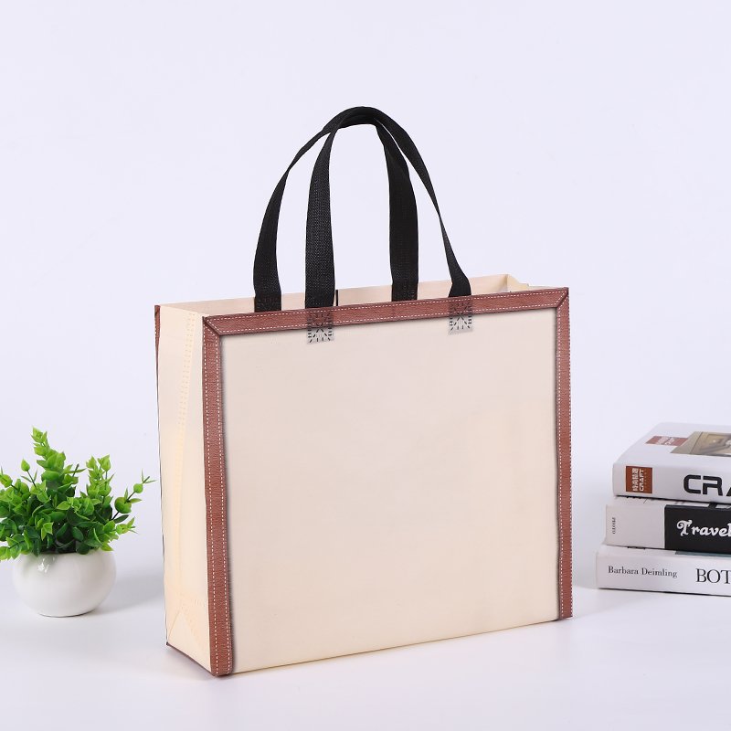 New style non woven shopping Bag, nonwoven bag for clothing store PP laminated non woven bag with custom logo