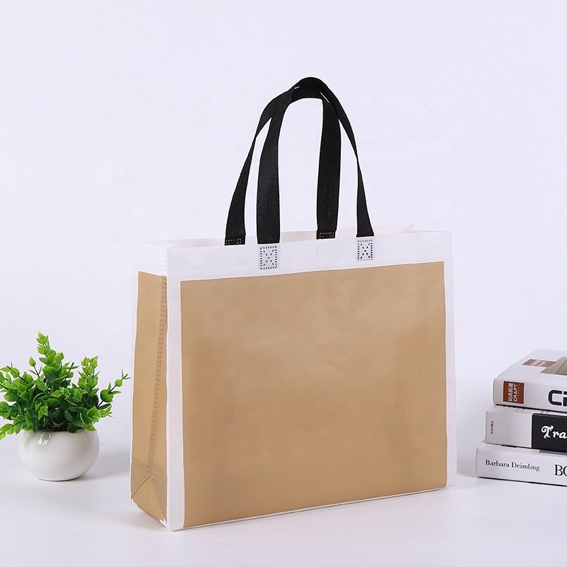 New style non woven shopping Bag, nonwoven bag for clothing store PP laminated non woven bag with custom logo