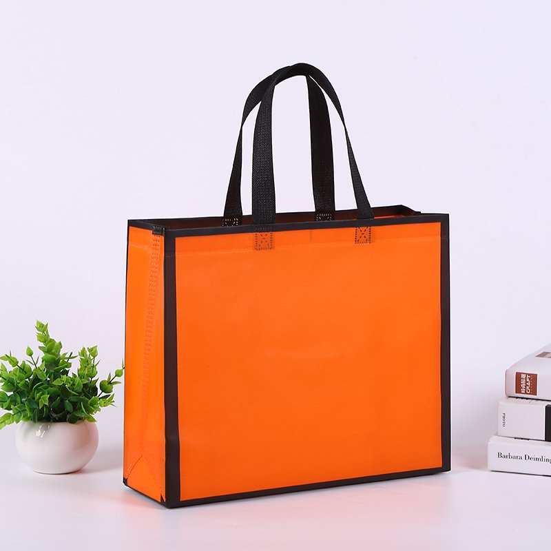 New style non woven shopping Bag, nonwoven bag for clothing store PP laminated non woven bag with custom logo