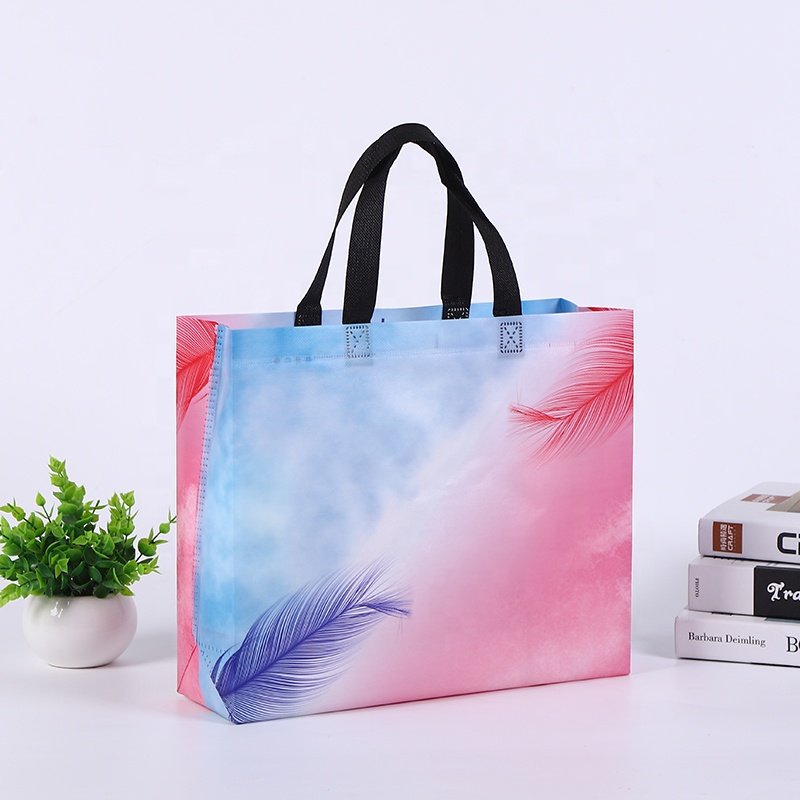 New style non woven shopping Bag, nonwoven bag for clothing store PP laminated non woven bag with custom logo