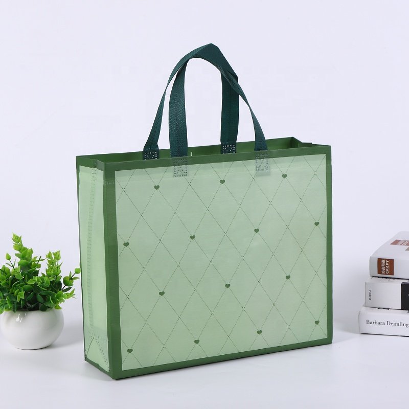 New style non woven shopping Bag, nonwoven bag for clothing store PP laminated non woven bag with custom logo