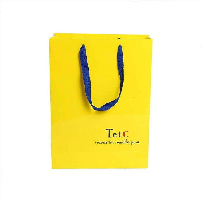 Custom Design Ribbon Handle Black Luxury Jewelry Cosmetic Gift Clothing Shopping Packaging 250 gsm Art Paper Bag For Clothes