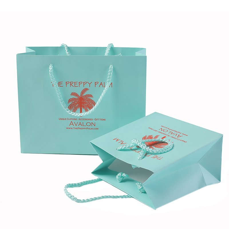 Luxury Custom Your Own Logo Printed Reusable Shopping Gift Paper Bag With Ribbon Handle