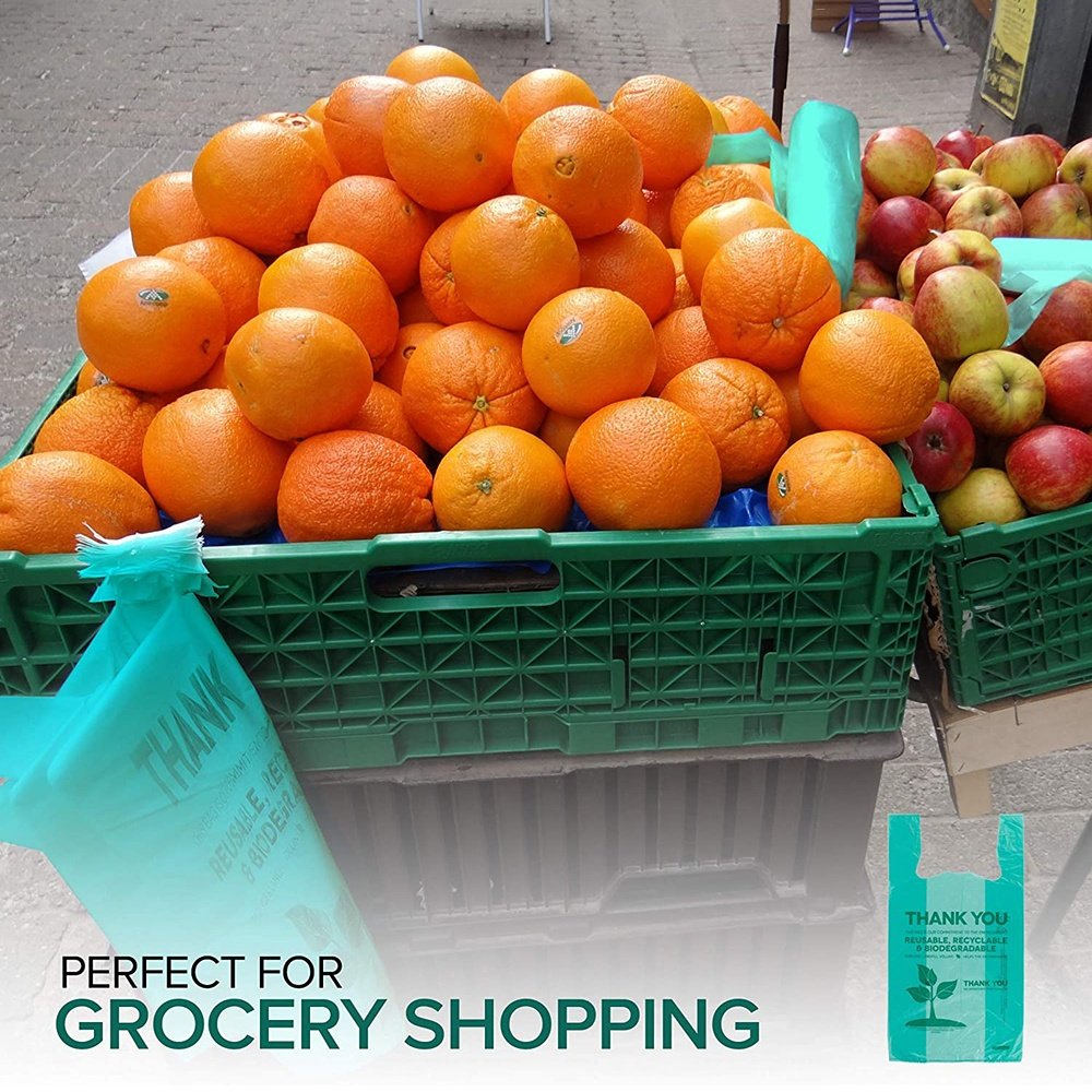 Cheap Compostable Plastic PLA Biodegradable T Shirt Shopping Bag for Grocery