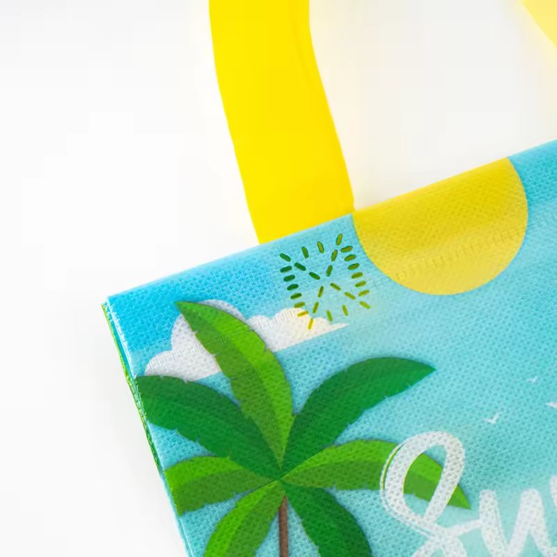 Wholesale factory price pp laminated non-woven shopping bags supermarket promotional bag with custom logo and size