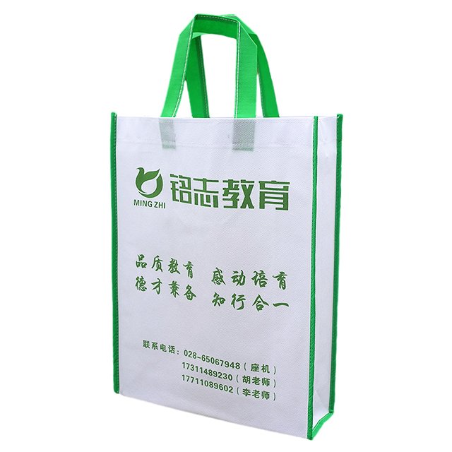 Printed custom eco-friendly shopping bag handbag