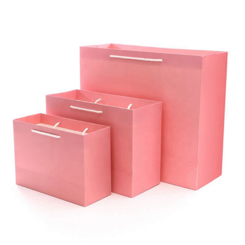 Custom Printed Luxury packaging bag Kraft Paper food packaging bag Shopping Bags for Gifts