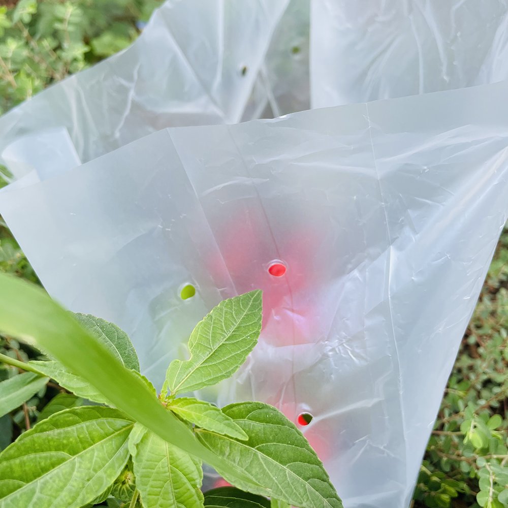 Eco Friendly 100% Compostable Bags Salad Vegetable Bags Shopping Bags Logo Accept Customized