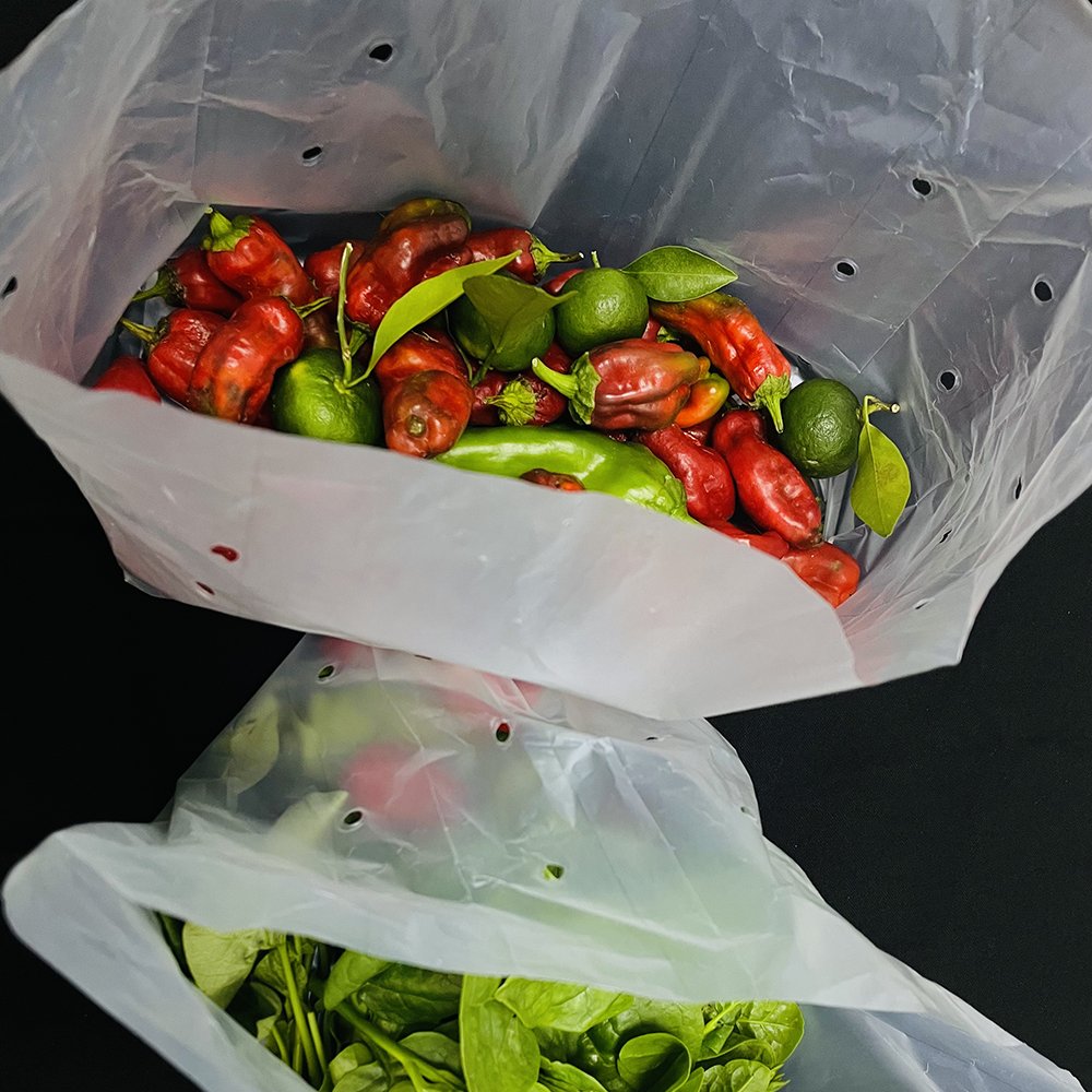 Eco Friendly 100% Compostable Bags Salad Vegetable Bags Shopping Bags Logo Accept Customized
