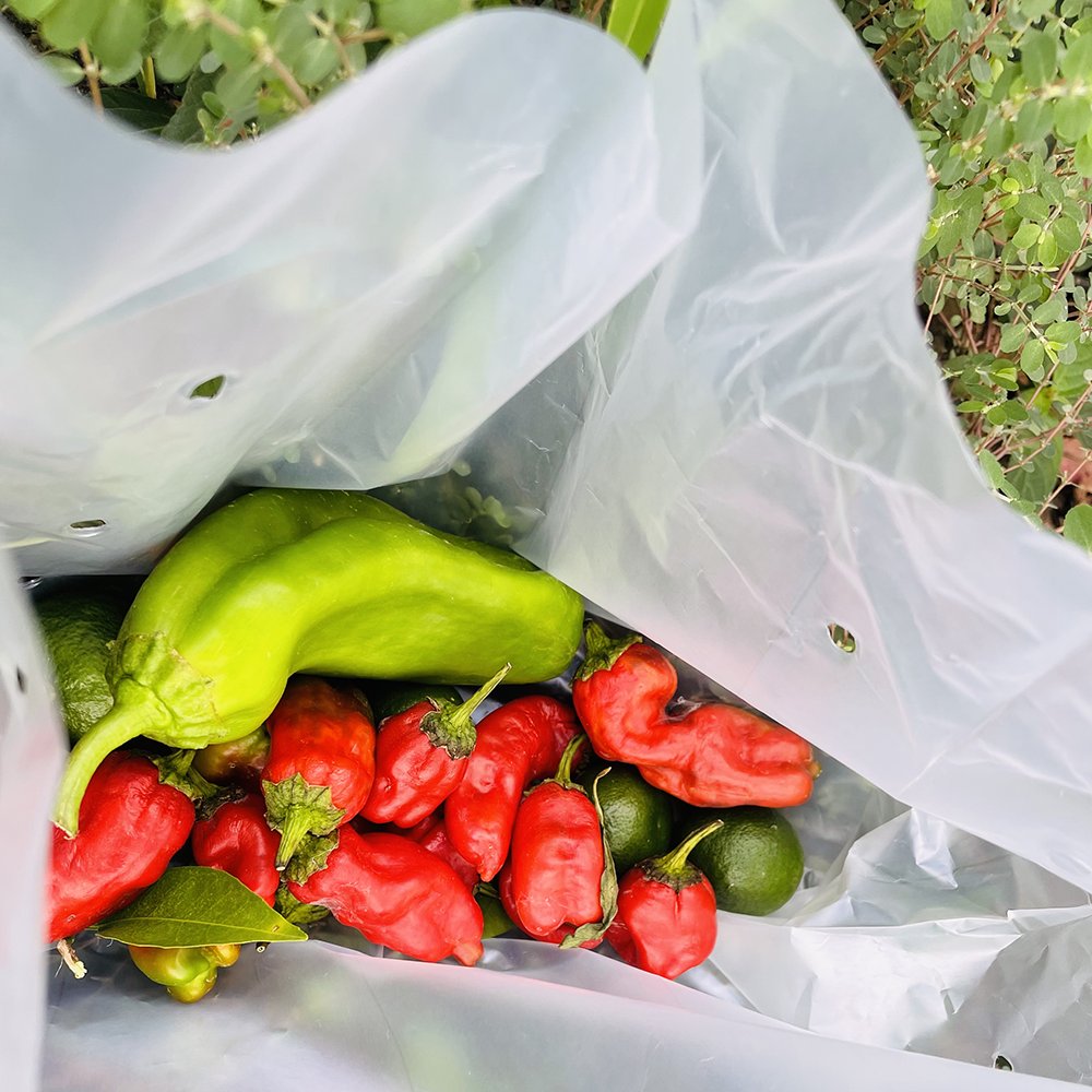 Eco Friendly 100% Compostable Bags Salad Vegetable Bags Shopping Bags Logo Accept Customized