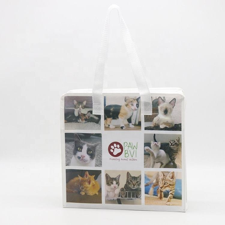 China Wholesale Custom Printing Logo Polypropylene Shopping Laminated Pp Woven zipper Bags Large PP Woven Shopping Bag