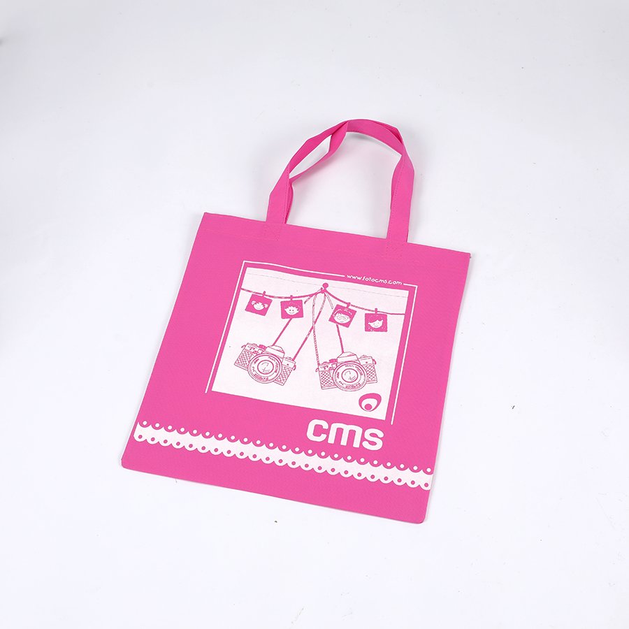 Wholesale Fashion Recycling Laminated Non-Woven Shopping Bags Middle Size Non Woven Shopping Bag For Travel