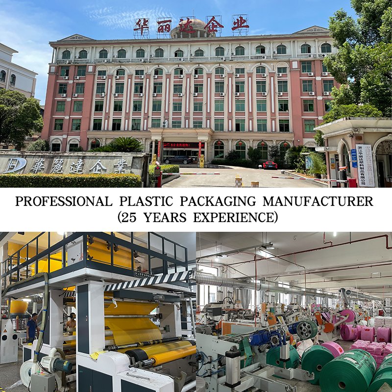 High Quality Custom Logo Printed Soft Loop Plastic Shopping Bag Clothing Shoes bags for packaging Retail Store
