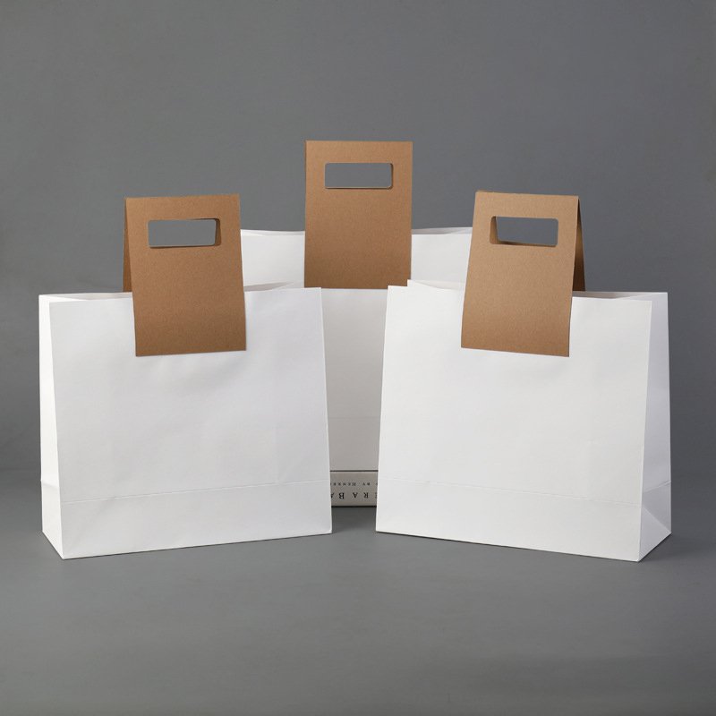 Biodegradable Customized Paper Bag Shopping Paper Shopping Bag For Apparels With Custom Logo