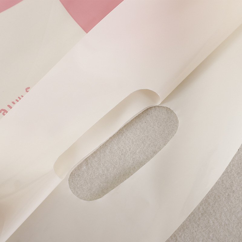 Custom Printed Logo Design LDPE/HDPE handle plastic bag die cut bag shopping bag for clothing/shoe packing