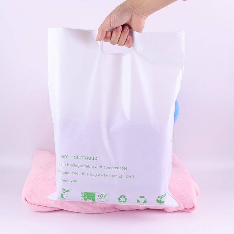Custom Logo Design Printing Handle Bag PE Plastic Shopping Bag For Apparel Packing
