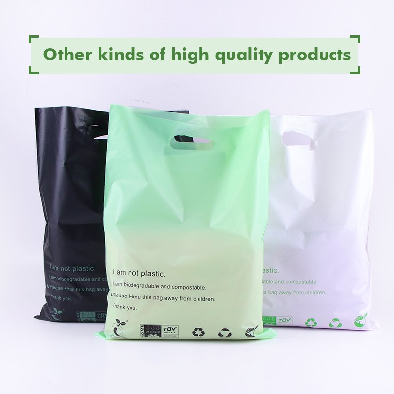 Custom Logo Design Printing Handle Bag PE Plastic Shopping Bag For Apparel Packing