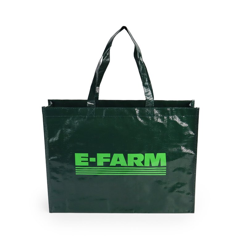 New Design High Quality PP Woven Shopping Bag Custom Printed Logo or Cartoon Reusable and Eco-Friendly for Packaging