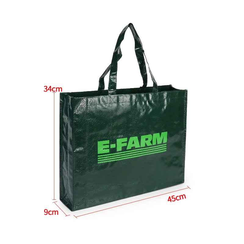 New Design High Quality PP Woven Shopping Bag Custom Printed Logo or Cartoon Reusable and Eco-Friendly for Packaging