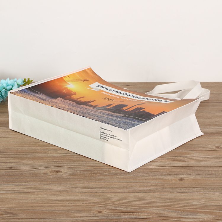 Custom Durable Reusable Zipper Delicate Portable Non-Woven Folding Shopping Bag Design Premium Quality for Eco-Friendly Shopping