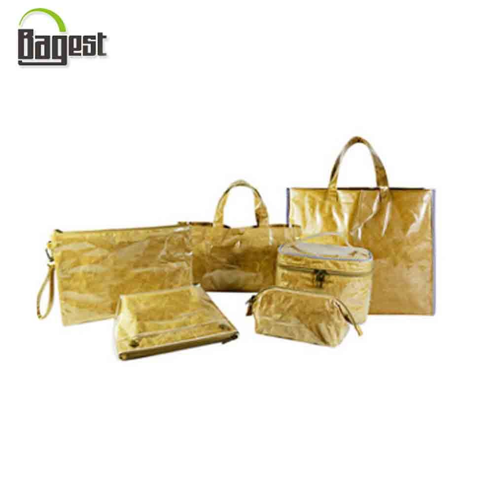 Fashion Durable 75gsm Tyvek and Pvc Material Shopping Bags