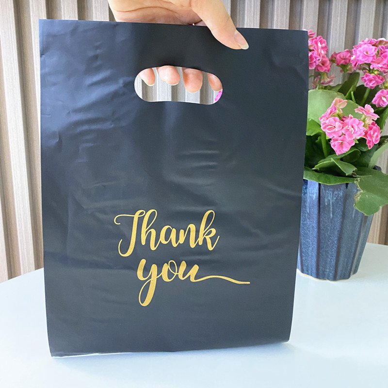 Custom Print Logo High Quality Plastic Shopping Bag Plastic packaging Die Cut Handle Carry Bag
