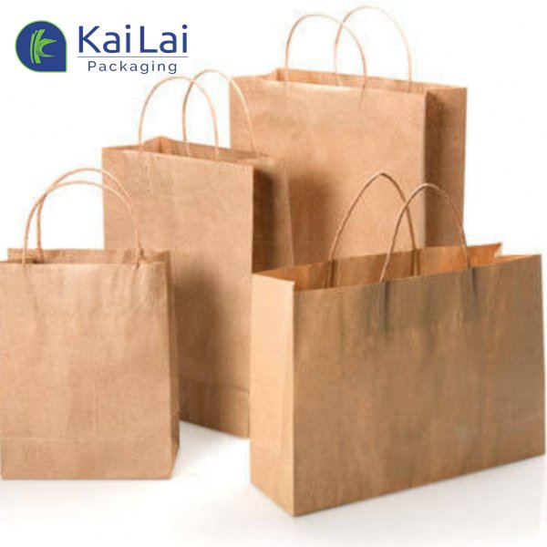Customized Take Away Food Bag Fashion Shopping Bag Brown Kraft Paper Bags