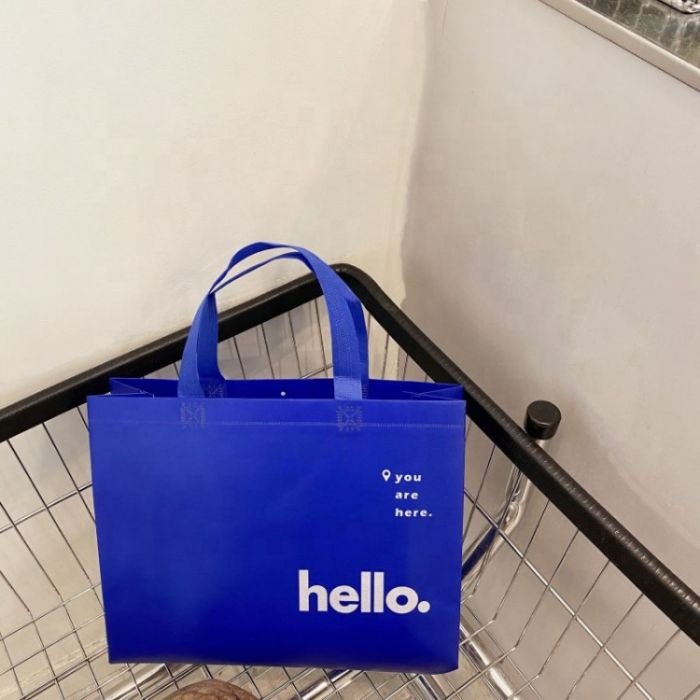 Customized reusable tote shopping bag recycled eco non woven bag with logo