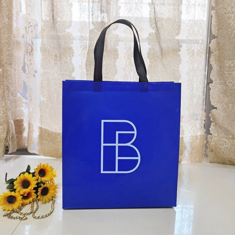 Factory Custom Promotional Ecobag Laminated Non Woven Bag Reusable Non Woven Tote Bag Recycled Retail Shopping Bolsas