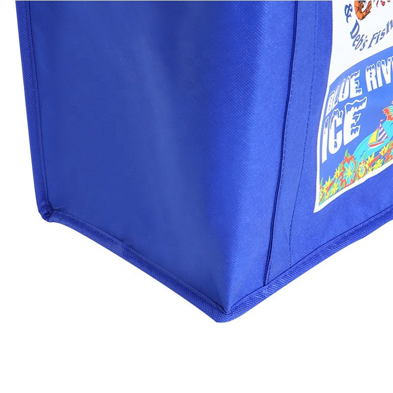 Custom Printed Logo Low Price Promotion Blue Reusable Wine Blue Non Woven Small Insulated Cooler Bag With Zipper