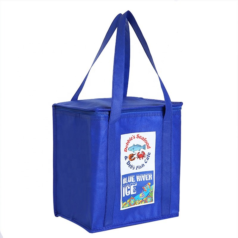 Custom Printed Logo Low Price Promotion Blue Reusable Wine Blue Non Woven Small Insulated Cooler Bag With Zipper