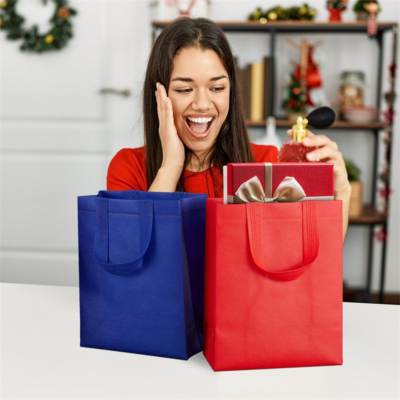 Whosale Custom Logo Nonwoven BagscPromotion Large Capacity Supermarket Bag