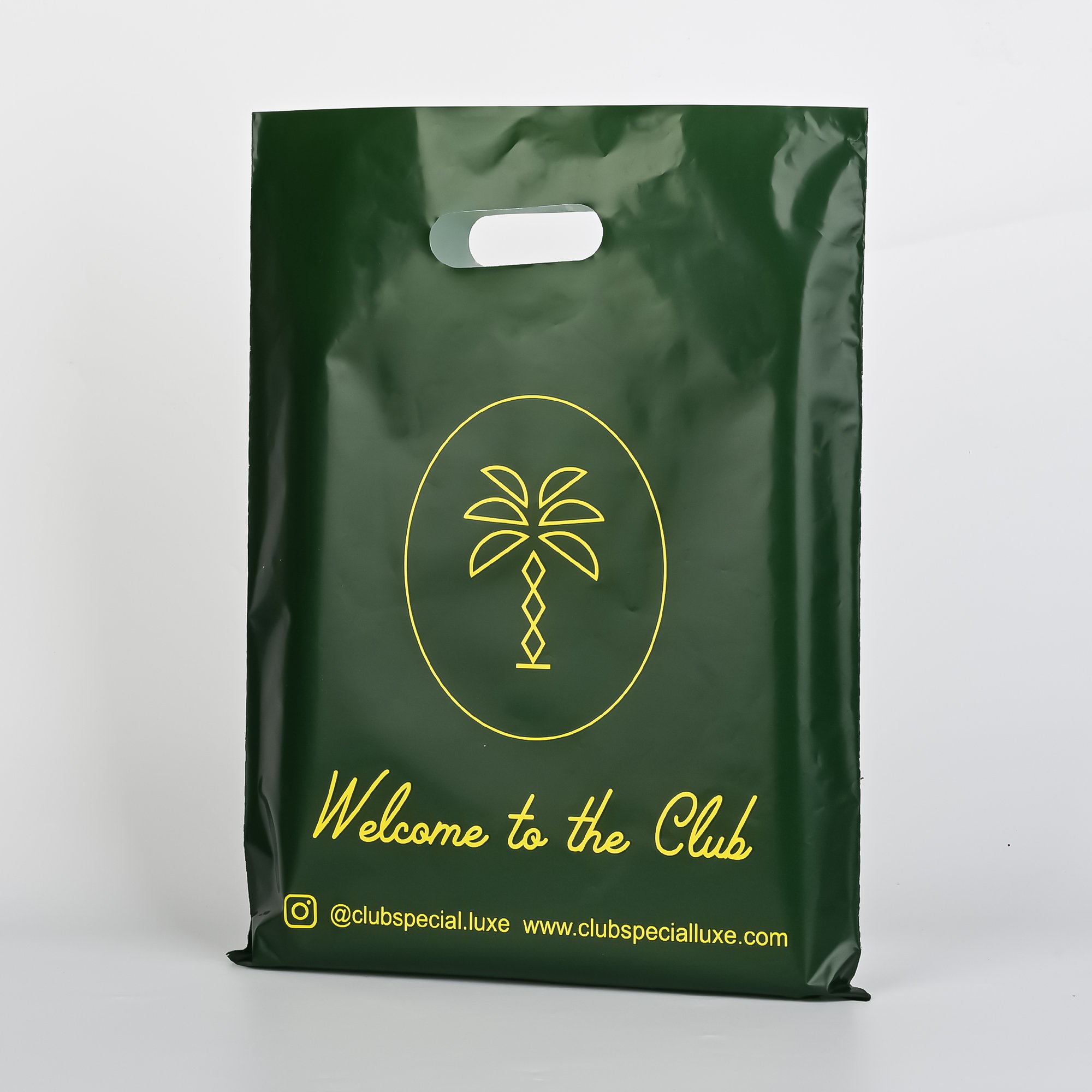 Low Moq Plastic Shopping Bags For Boutique Plastic Shopping Bags With Logos Retail Plastic Shopping Bags