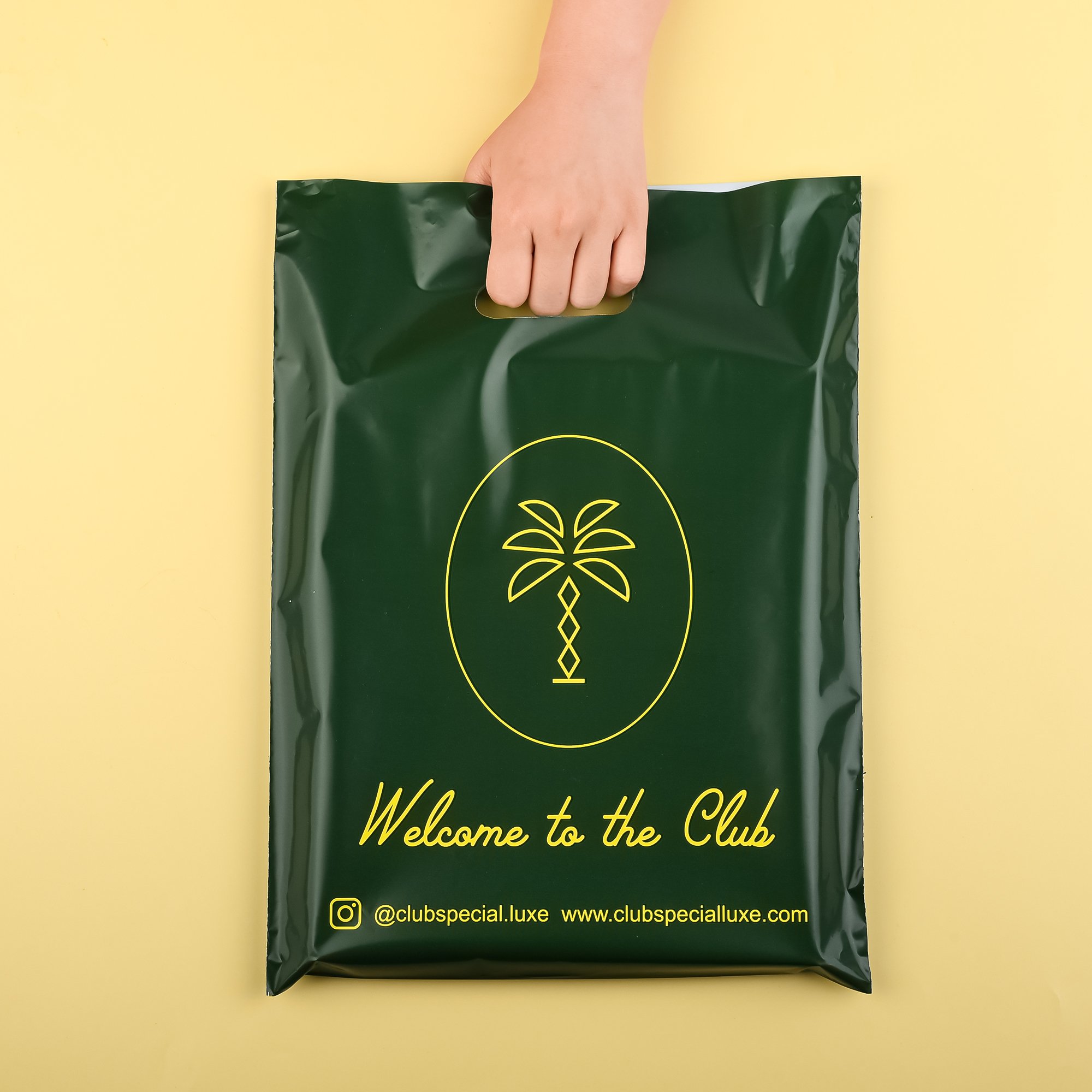 Low Moq Plastic Shopping Bags For Boutique Plastic Shopping Bags With Logos Retail Plastic Shopping Bags