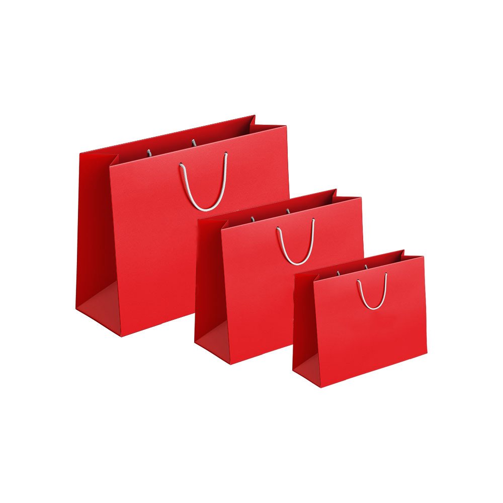 custom printed kraft cardboard luxury clothing shoes cosmetics jewelry shopping logo white paper gift bags with ribbon handles