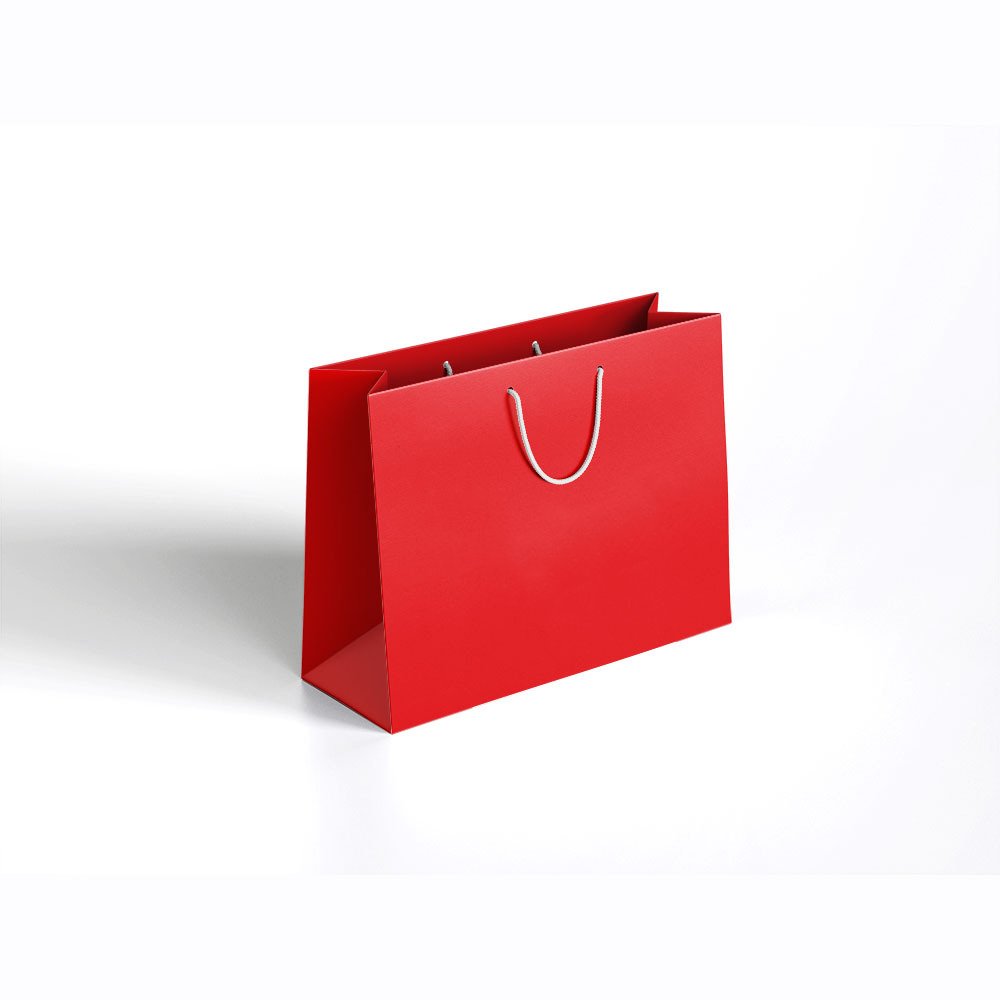 custom printed kraft cardboard luxury clothing shoes cosmetics jewelry shopping logo white paper gift bags with ribbon handles