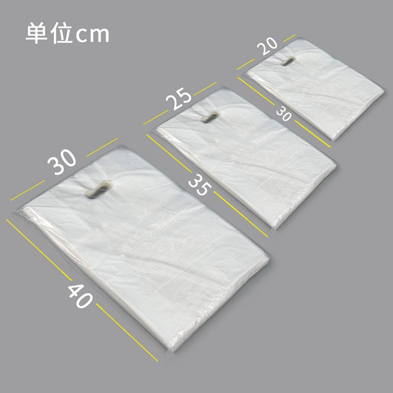 Custom Logo Design Printing Die Cut Handle Bag PE Plastic Shopping Bag For Apparel Packing